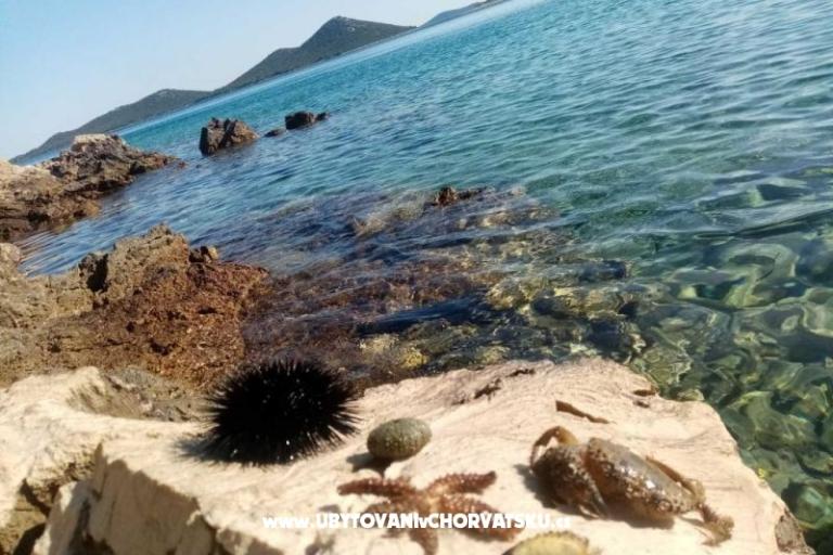 Appartementen Nakić – foto 22