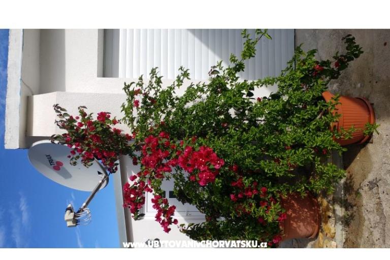 Appartementen Pipi – foto 12