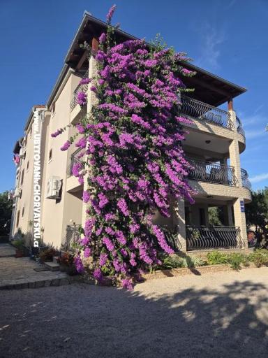 Appartementen Silvija – foto 19