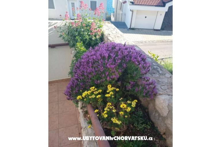 Appartementen Šimun – foto 11