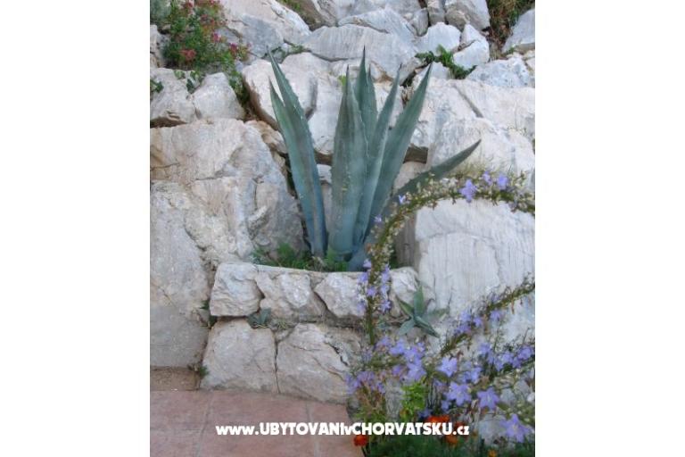 Appartementen Šimun – foto 8