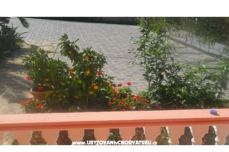 Appartementen Leo – foto 24