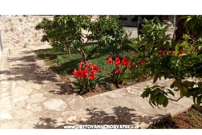 Appartementen Leo – foto 38