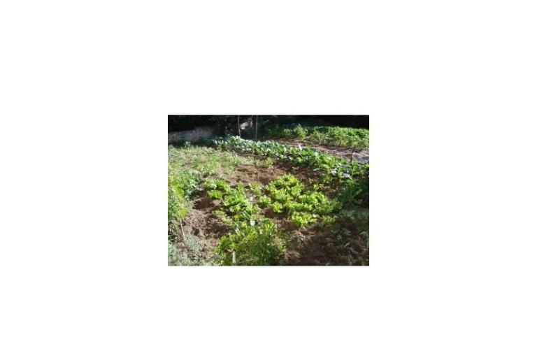 Appartementen Rosan Pakostane – foto 15