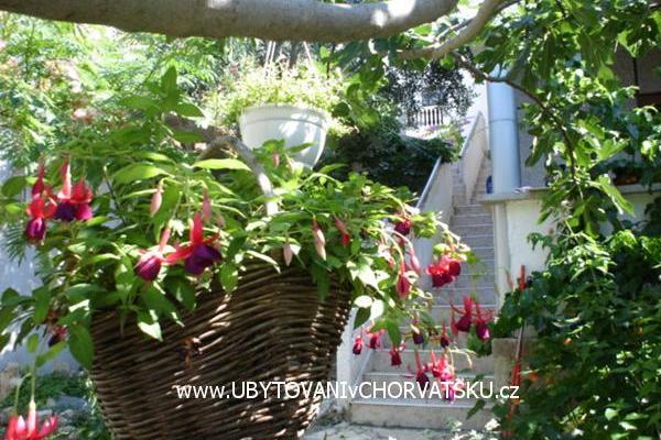 Appartementen Sokalo-Petar – foto 4