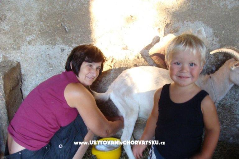 Appartementen Sokalo-Petar – foto 8