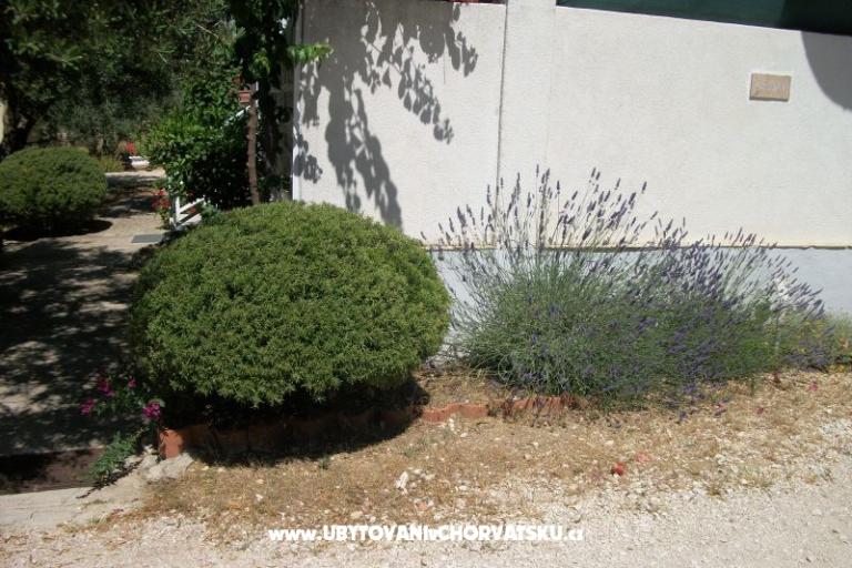 Appartementen Sinjal – foto 7