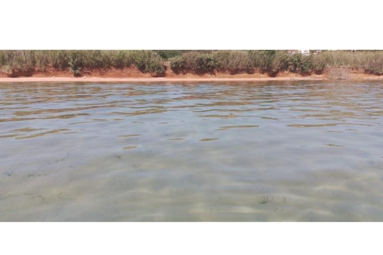 Tourist boat - Robinson Tourism – foto 13