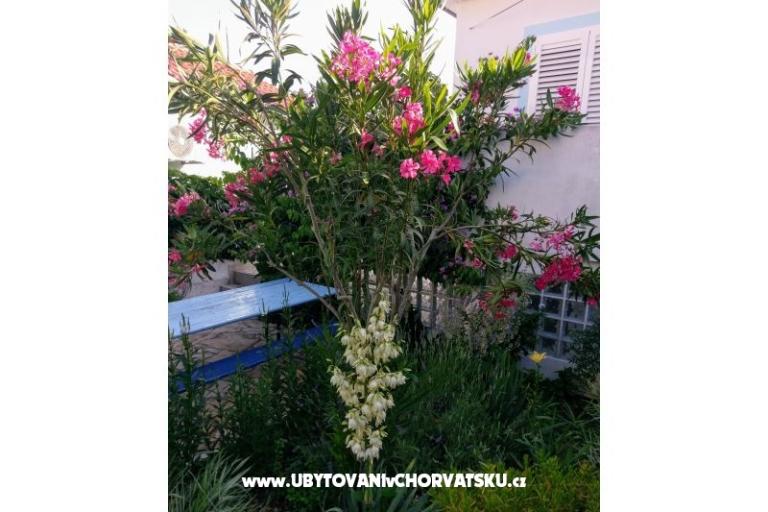 Appartementen Marija-Tkon – foto 3