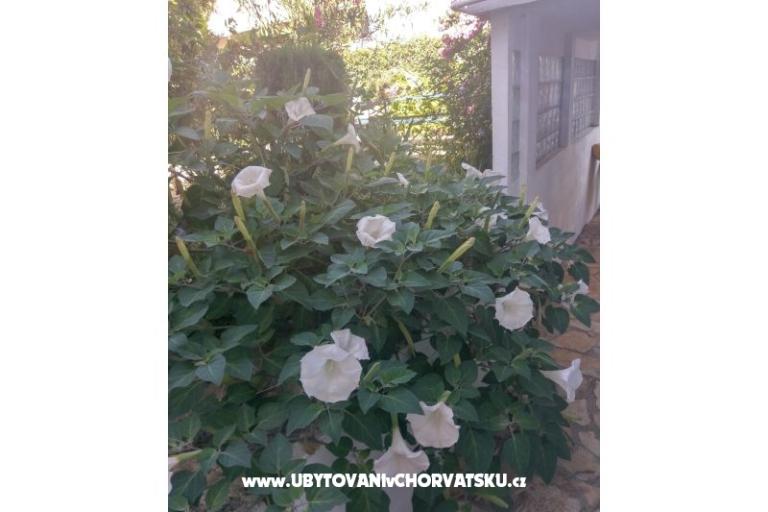 Appartementen Marija-Tkon – foto 6