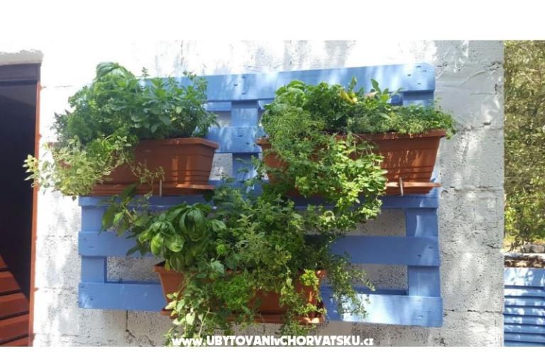 Appartementen Maris – foto 16