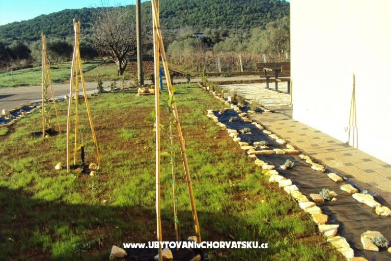 Appartementen Pašman – foto 16