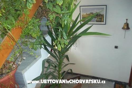 Appartementen Dragica Pedisic – foto 9