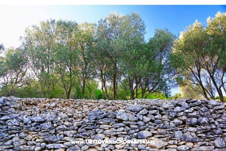 Appartementen Dragica Pedisic – foto 11