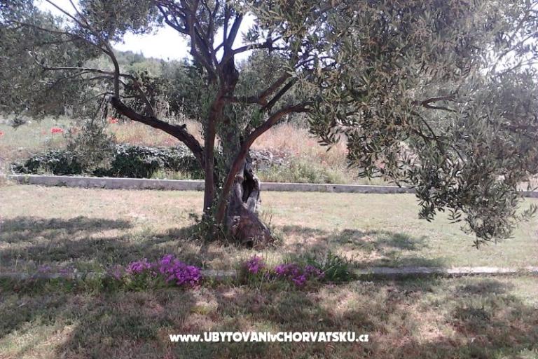 Appartementen Villa Banjka – foto 17