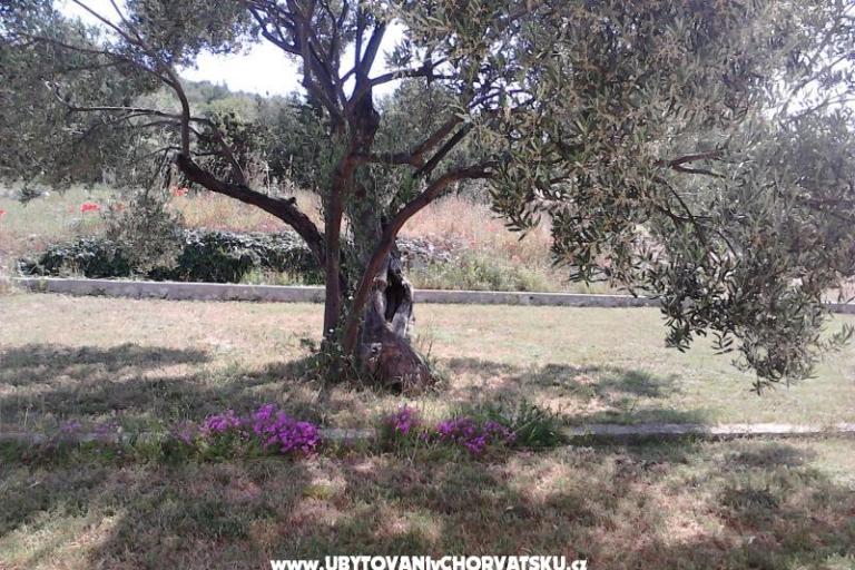 Appartementen Villa Banjka – foto 8