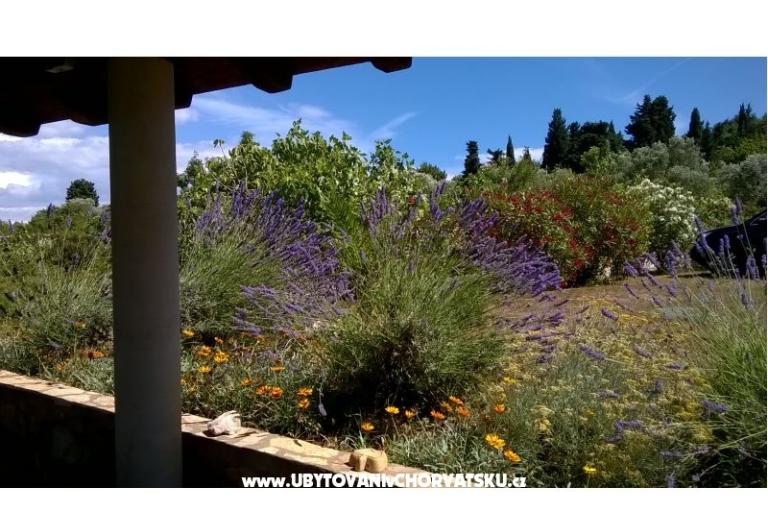 Appartementen Villa Banjka – foto 9