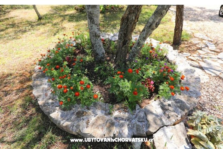 Appartementen Suzana – foto 18