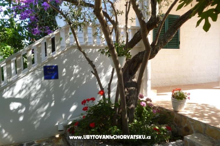 Appartementen Suzana – foto 9