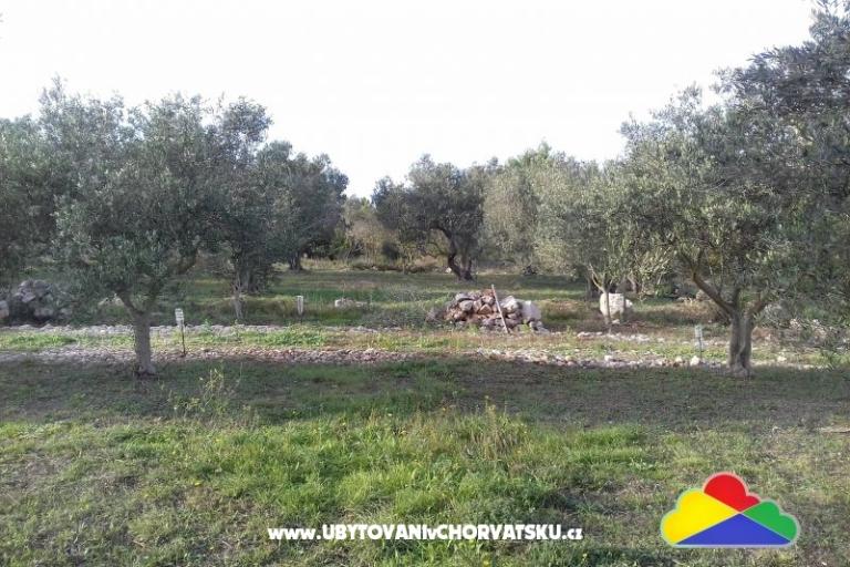 Holiday homes Twins by the sea – foto 28