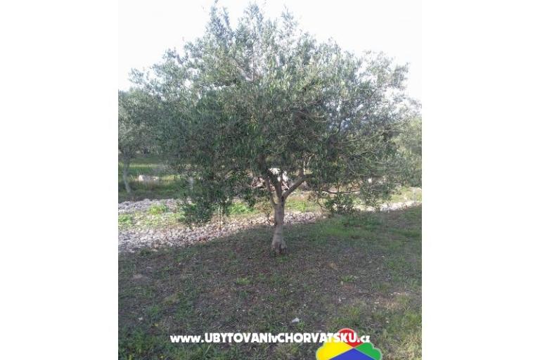 Holiday homes Twins by the sea – foto 29