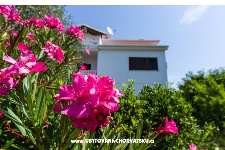 Appartementen Ivanka – foto 4