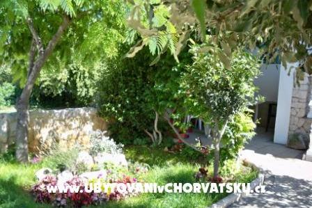 Appartementen Petra – foto 6