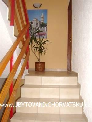 Ferienwohnung-Appartementen Rosa – foto 7