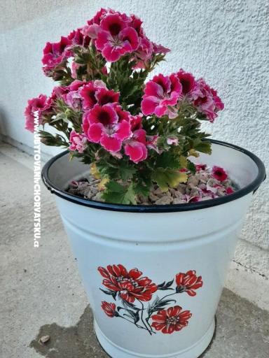 Appartementen Lana Pirovac – foto 20