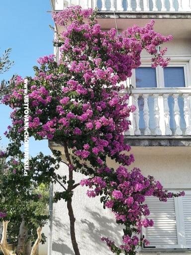 Appartementen Lana Pirovac – foto 21