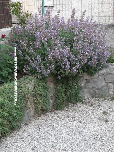 Appartementen Lana Pirovac – foto 26