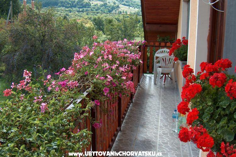 Apartma Hodak – foto 2