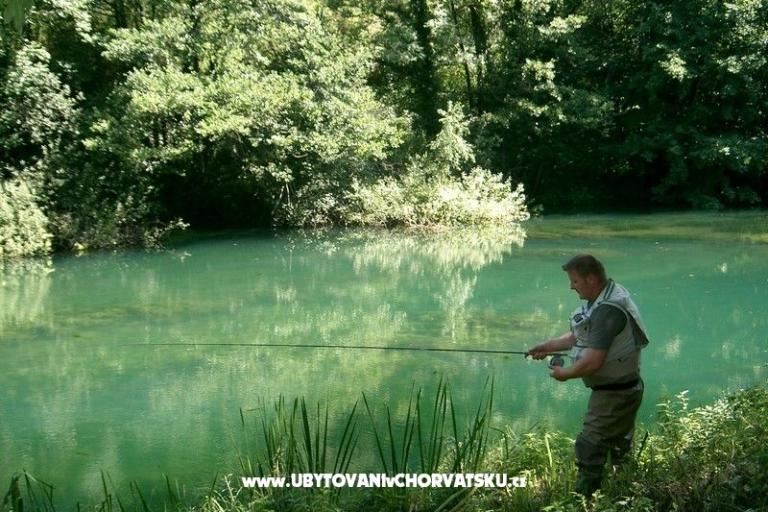 Appartementen Lucić – foto 15