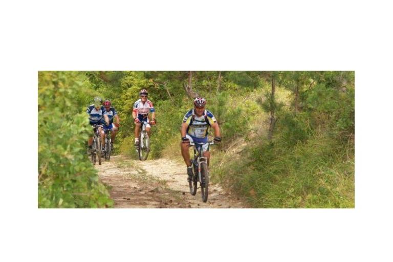 Appartementen Lucić – foto 16