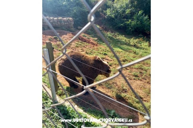 Appartementen Paradiso – foto 11