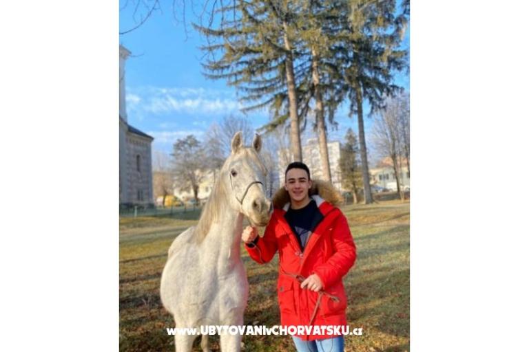 Appartementen Paradiso – foto 14