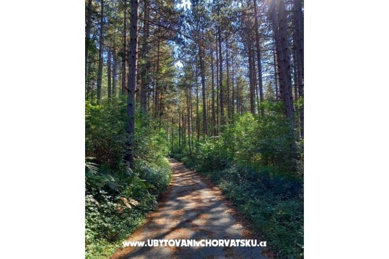 Appartementen Paradiso – foto 15