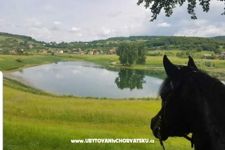 Appartementen Paradiso – foto 7