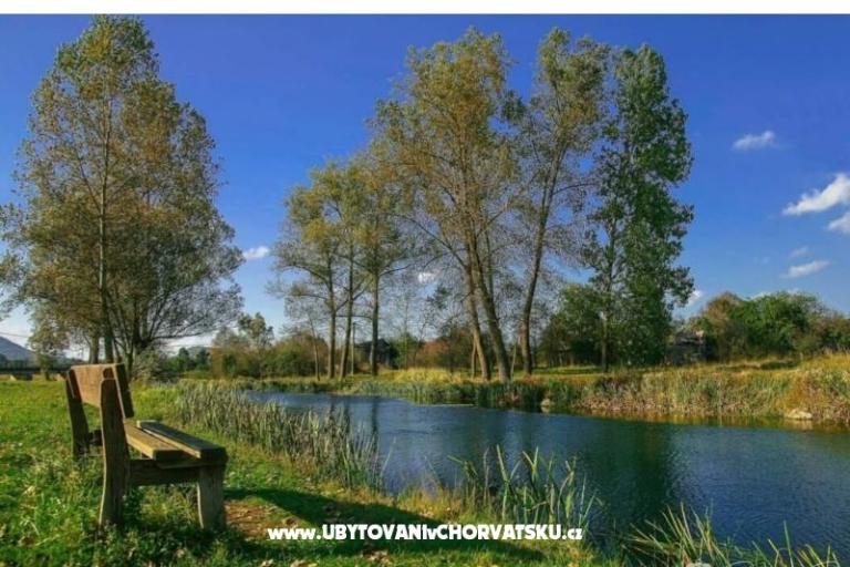 Appartementen Paradiso – foto 8