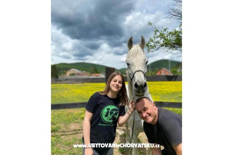 Appartementen Paradiso – foto 9