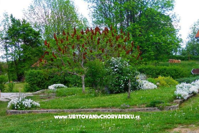 Blazenka Hodak – foto 2