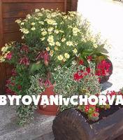 Huis Spoljaric – foto 7