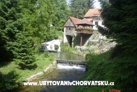 Kamers Magdić – foto 13