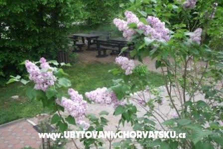 Kamers Veronika – foto 13