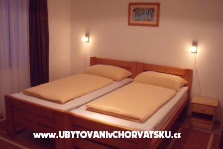 Kamers Veronika – foto 3