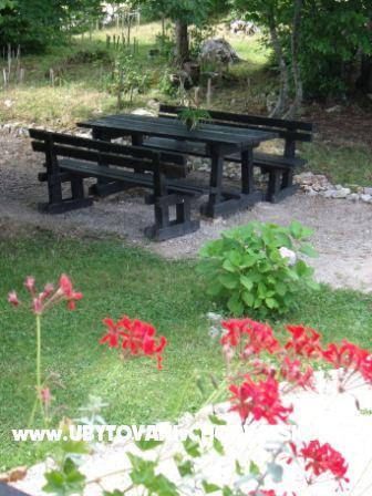Kamers Veronika – foto 6