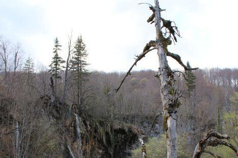 Appartementen Marija – foto 6