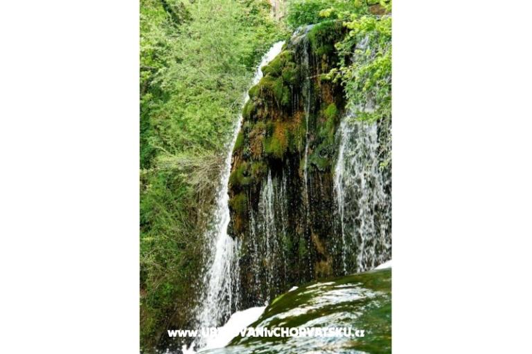 Kamers Roza – foto 10