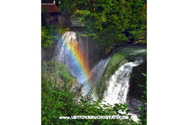 Kamers Roza – foto 12