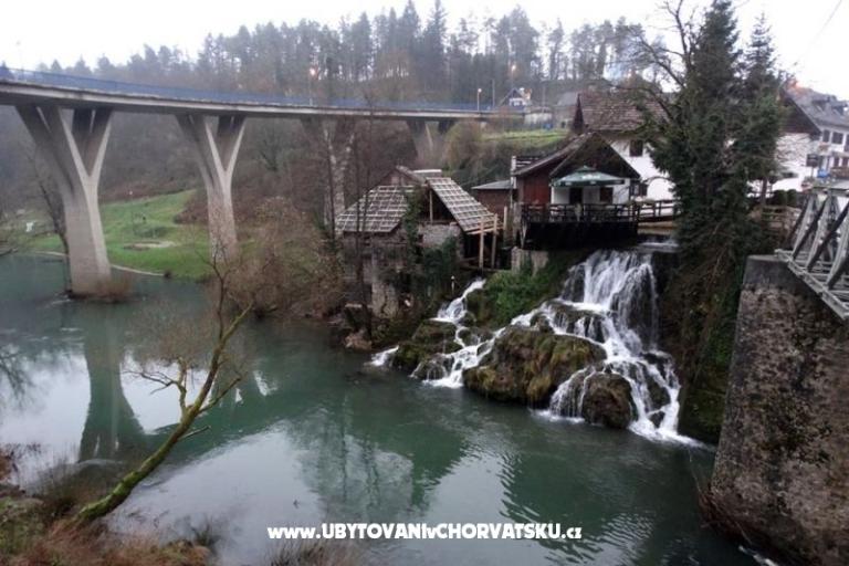 Kamers Roza – foto 13